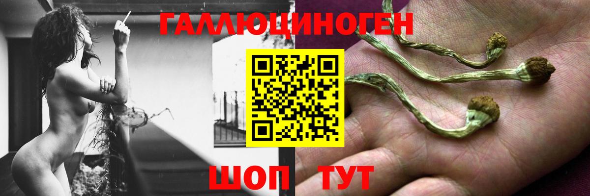 Советская Гавань  Псилоцибиновые грибы GOLDEN TEACHER  Вход с VPN  Галлюциногенные грибы Magic Shrooms 
